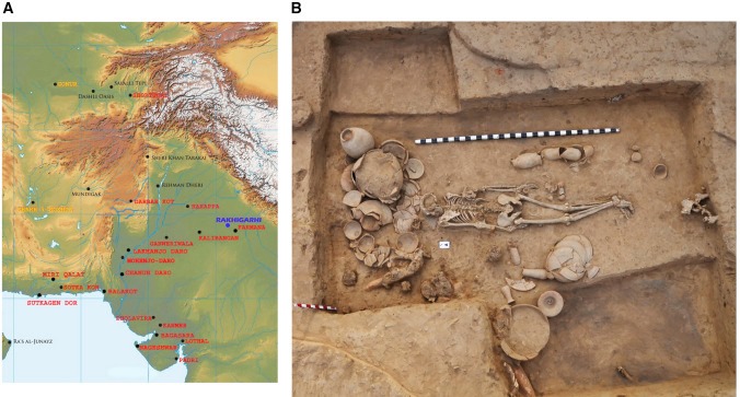 Indus valley Civilization