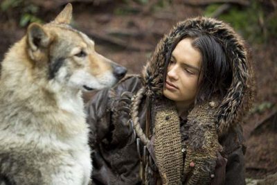 wolf became dog