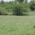 dryland-tiruvarur