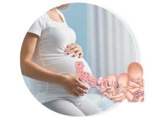 pregnancy-Slider