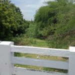 tiruvarur-kaataru-02