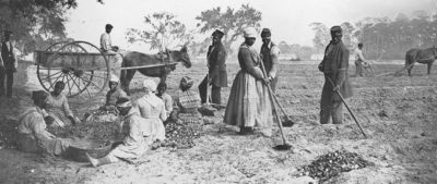 slavery in america political economy