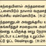 nov-qod_manu-03