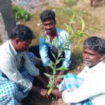 bagath-plant (4)