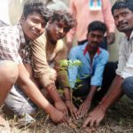 bagath-plant (5)