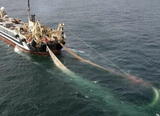 மீன் வளத்தையும் மீனவர்களையும் அழிக்க வரும் கடல் மீன்வள மசோதா !