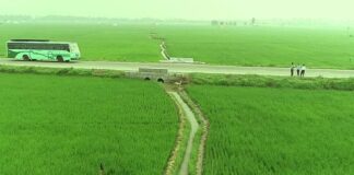 தென்காசி நான்கு வழிச் சாலை: அ.தி.மு.க., தி.மு.க. வழியில் த.வெ.க.!