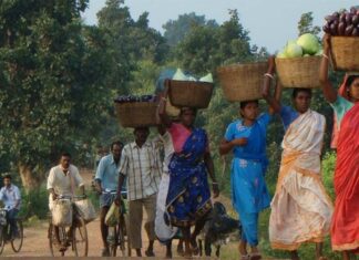 வனவாசிகளின் நில உரிமையை மறுக்கும் தமிழ்நாடு அரசு!