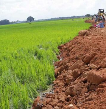 திருவையாறு: சம்பா நெல்லுக்கு சமாதி கட்டியபடி சாலை அமைக்கும் பணி!