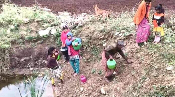 கிருஷ்ணகிரி: கெலமங்கலம் மலைவாழ் மக்களைப் புறக்கணிக்கும் அரசு!