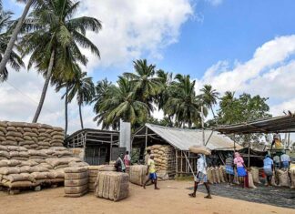 முறையற்ற நெல் கொள்முதல்: விவசாயத்தை கார்ப்பரேட் மயமாக்குவதன் அங்கம்