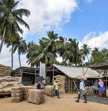 முறையற்ற நெல் கொள்முதல்: விவசாயத்தை கார்ப்பரேட் மயமாக்குவதன் அங்கம்