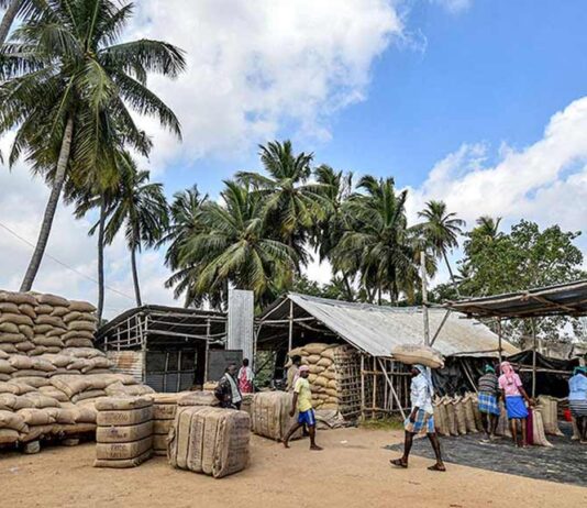 முறையற்ற நெல் கொள்முதல்: விவசாயத்தை கார்ப்பரேட் மயமாக்குவதன் அங்கம்
