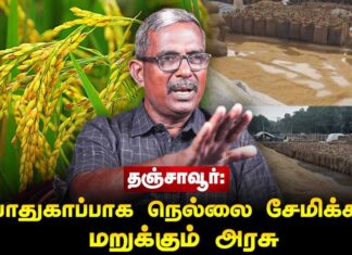 தஞ்சாவூர்: பாதுகாப்பாக நெல்லை சேமிக்க மறுக்கும் அரசு | தோழர் வெற்றிவேல் செழியன்