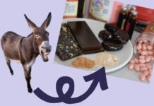 லாப வெறியால் கழுதைகளை அழிப்பது ‘சீனபாணி சோசலிசம்’