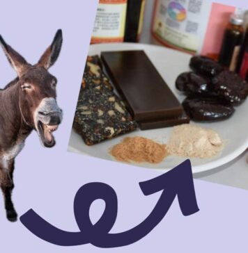 இலாபவெறியால் கழுதைகளைக் கொன்று குவிக்கும் சீன முதலாளிகள்