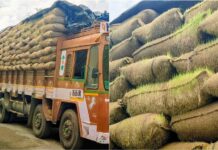 முளைக்கும் நெற்பயிர்கள் கழுத்தறுக்கும் அரசு மரணிக்கும் விவசாயம்!