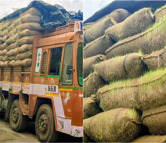முளைக்கும் நெற்பயிர்கள் கழுத்தறுக்கும் அரசு மரணிக்கும் விவசாயம்!