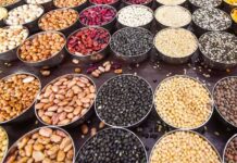 மரபணு திருத்தப்பட்ட பருப்பு வகைகள்: கார்ப்பரேட்மயமாக்கல்தான் தற்சார்பா?