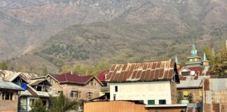 காஷ்மீர்: சி.ஆர்.பி.எஃப் தளம் அமைக்க அழிக்கப்படும் காப்புக்காடுகள்