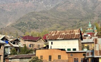 காஷ்மீர்: சி.ஆர்.பி.எஃப் தளம் அமைக்க அழிக்கப்படும் காப்புக்காடுகள்