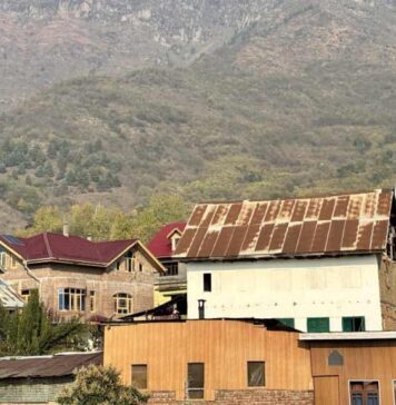 காஷ்மீர்: சி.ஆர்.பி.எஃப் தளம் அமைக்க அழிக்கப்படும் காப்புக்காடுகள்