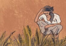 விவசாயிக்கும் விதைக்குமான உறவை முறித்துவைக்கும் வரைவு விதைகள் மசோதா 2025