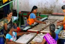 ஈரான் போர்: மூலப்பொருள் தட்டுப்பாட்டால் முடங்கும் தீப்பெட்டித் தொழில்!