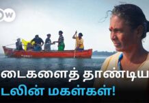 பாம்பன் சின்னப்பாலம்: “நாங்க மீன்பிடிக்கக் கூடாதா?” உழைத்துக் காட்டும் மீனவ பெண்கள்
