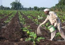 தொடரும் ஈரான் போர் – அதிகரிக்கும் உணவுப் பொருட்களின் விலை