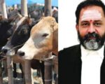 தமிழ்நாட்டில் மாடு வெட்ட தடை: மக்களின் உணவு உரிமையைப் பறிக்கும் உயர்நீதிமன்றம்