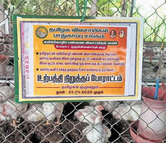 கோழிப் பண்ணை விவசாயிகள்: அரசியல் மற்றும் தீர்வுக்கான திசைவழி | பாகம் 3