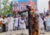 பஞ்சாப்: அமெரிக்க அடிமை ஒப்பந்தத்தை இரத்து செய்யக்கோரி விவசாயிகள் போராட்டம்!
