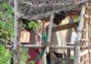 தமிழ்நாட்டில் தொடர்ந்து அதிகரிக்கும் ஆணவப் படுகொலைகள் | ம.அ.க. கண்டம்!