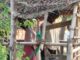 தமிழ்நாட்டில் தொடர்ந்து அதிகரிக்கும் ஆணவப் படுகொலைகள் | ம.அ.க. கண்டனம்!