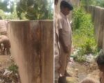 திருப்பத்தூர் ஜோலார்பேட்டை: அரசுப் பள்ளி மாணவர்களை கழிவு நீரை அகற்ற வைத்த அவலம்! | ம.அ.க. கண்டனம்