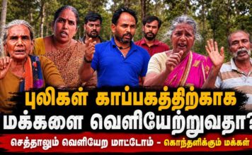 தேனி: புலிகள் காப்பகத்திற்காக வெளியேற்றப்படும் வருசநாடு மக்கள் | வேடிக்கை பார்க்கும் த.வெ.க. அரசு | மக்கள் கருத்து