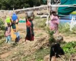 சேலம் ஜருகுமலை: அடிப்படை வசதிகளின்றித் துன்பப்படும் மேலூர், கீழூர் மலைக்கிராம மக்கள்